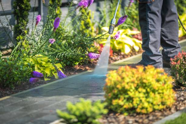 Best Pool Deck Cleaning in Drum Point, MD