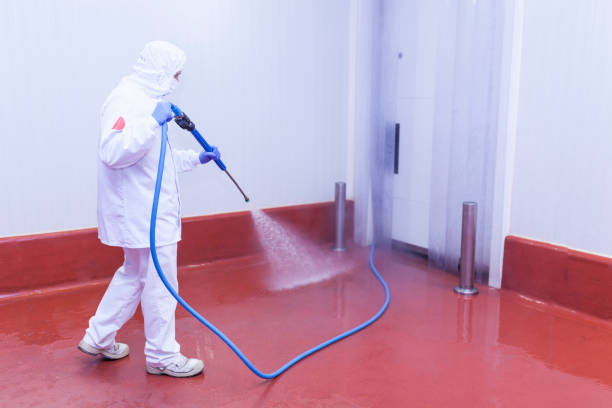 Best Commercial Pressure Washing in Drum Point, MD
